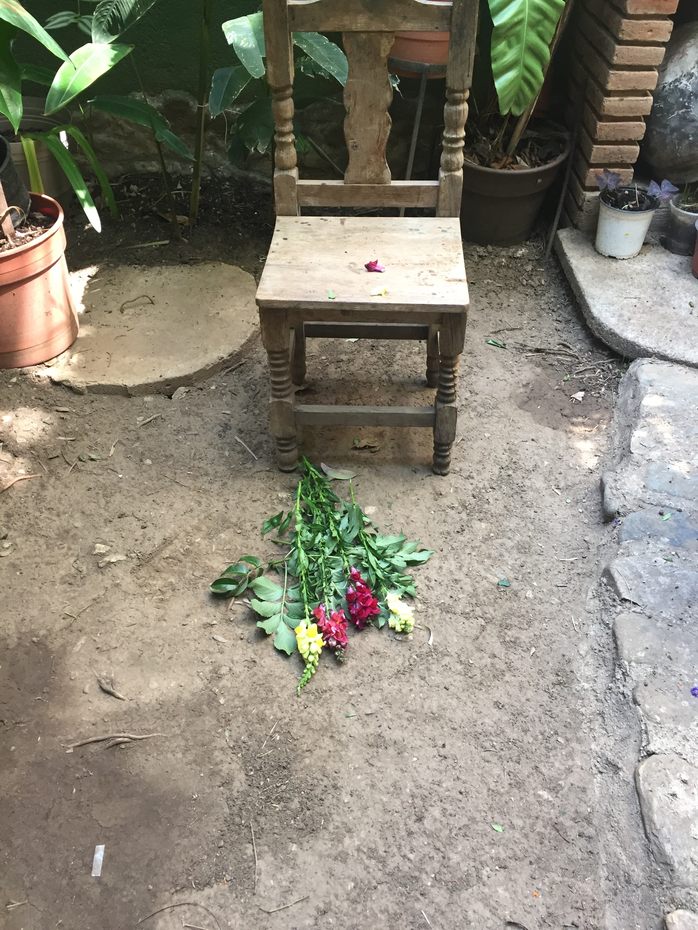 Image of flowers lain in front of an empty chair, taken at the house of Doña Queta, an eminent Zapotec healer and midwife in Oaxaca. The author participated in the ritual of susto by receiving a ritual cleansing (limpia) that required a flower offering. The photograph was taken by the author with Doña Queta’s permission.