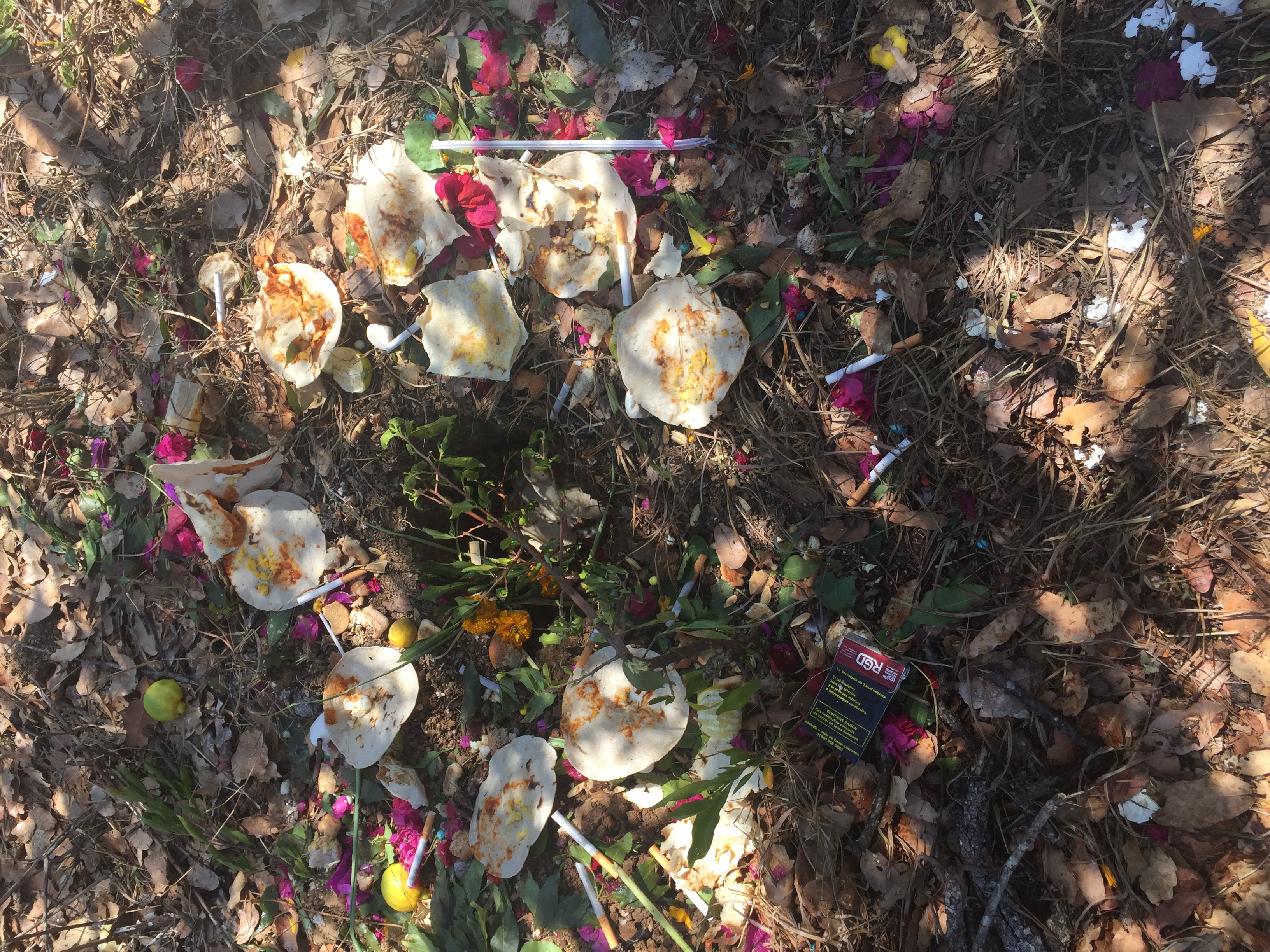  A selection of items used in a susto ritual in San Dionisio, Ocotepec. The author obtained permission to take the photograph by the family undergoing this ritual on 3/27/2018. 