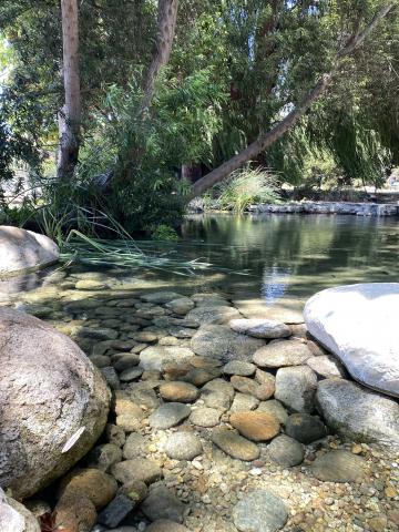 Image of the Tongva Springs in West Los Angeles